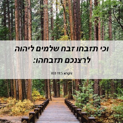 Picture 06 - ויקרא 19:5 HEB - וכי תזבחו זבח שלמים ליהוה - Bible Verse Picture