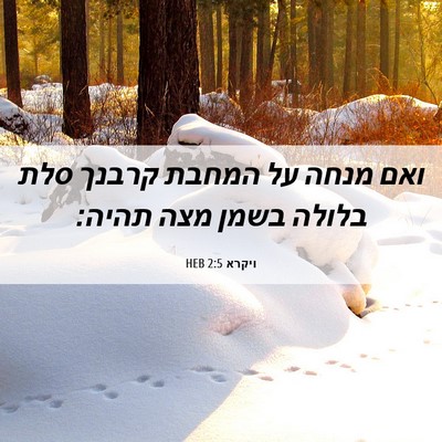 Picture 06 - ויקרא 2:5 HEB - ואם מנחה על המחבת קרבנך סלת - Bible Verse Picture