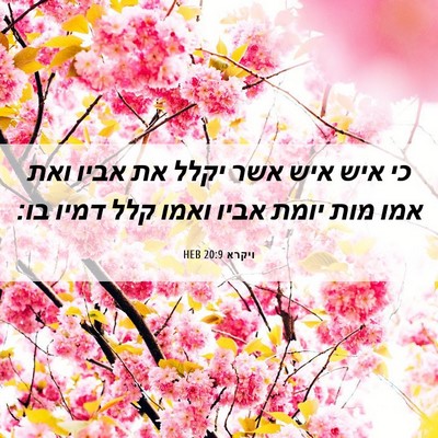 Picture 06 - ויקרא 20:9 HEB - כי איש איש אשר יקלל את אביו - Bible Verse Picture