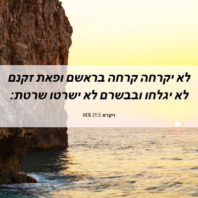 Picture 06 - ויקרא 21:5 HEB - לא יקרחה קרחה בראשם ופאת - Bible Verse Picture