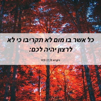 Picture 06 - ויקרא 22:20 HEB - כל אשר בו מום לא תקריבו כי - Bible Verse Picture