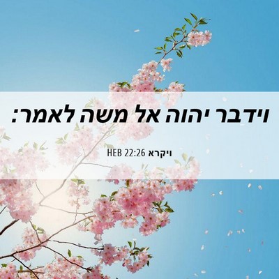 Picture 06 - ויקרא 22:26 HEB - וידבר יהוה אל משה - Bible Verse Picture