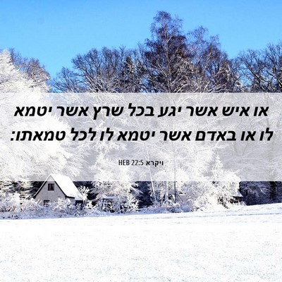 Picture 06 - ויקרא 22:5 HEB - או איש אשר יגע בכל שרץ אשר - Bible Verse Picture