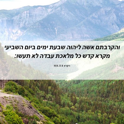 Picture 06 - ויקרא 23:8 HEB - והקרבתם אשה ליהוה שבעת - Bible Verse Picture