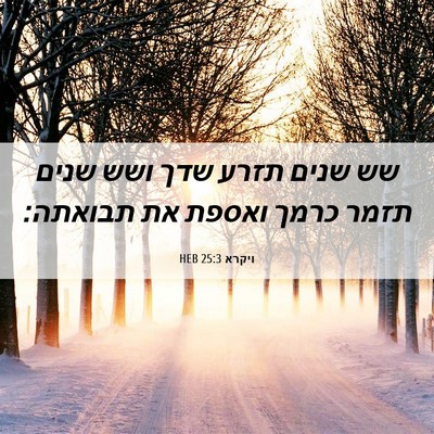 Picture 06 - ויקרא 25:3 HEB - שש שנים תזרע שדך ושש שנים - Bible Verse Picture