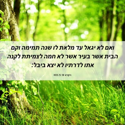 Picture 06 - ויקרא 25:30 HEB - ואם לא יגאל עד מלאת לו שנה - Bible Verse Picture