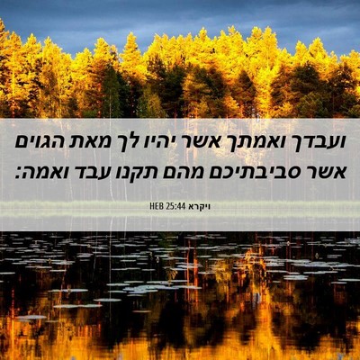 Picture 06 - ויקרא 25:44 HEB - ועבדך ואמתך אשר יהיו לך מאת - Bible Verse Picture