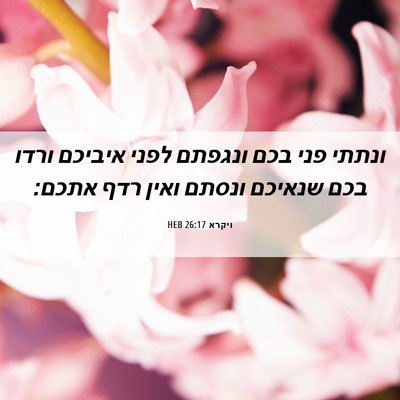 Picture 06 - ויקרא 26:17 HEB - ונתתי פני בכם ונגפתם לפני - Bible Verse Picture