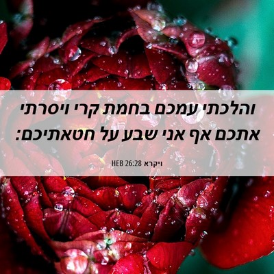 Picture 06 - ויקרא 26:28 HEB - והלכתי עמכם בחמת קרי - Bible Verse Picture