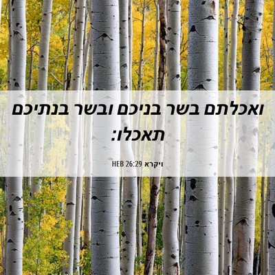 Picture 06 - ויקרא 26:29 HEB - ואכלתם בשר בניכם ובשר - Bible Verse Picture