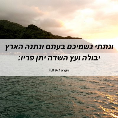 Picture 06 - ויקרא 26:4 HEB - ונתתי גשמיכם בעתם ונתנה - Bible Verse Picture