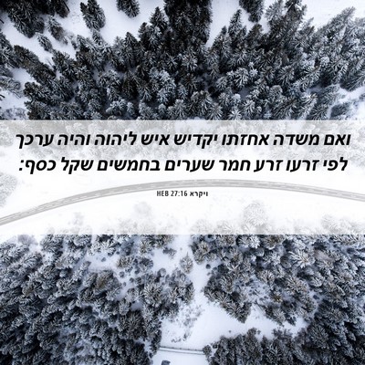 Picture 06 - ויקרא 27:16 HEB - ואם משדה אחזתו יקדיש איש - Bible Verse Picture