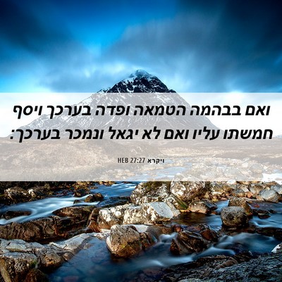 Picture 06 - ויקרא 27:27 HEB - ואם בבהמה הטמאה ופדה בערכך - Bible Verse Picture