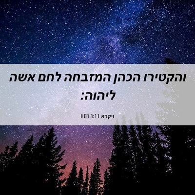 Picture 06 - ויקרא 3:11 HEB - והקטירו הכהן המזבחה לחם - Bible Verse Picture