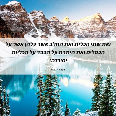 Picture 06 - ויקרא 3:4 HEB - ואת שתי הכלית ואת החלב אשר - Bible Verse Picture