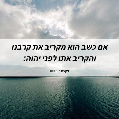 Picture 06 - ויקרא 3:7 HEB - אם כשב הוא מקריב את קרבנו - Bible Verse Picture