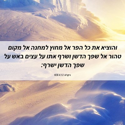 Picture 06 - ויקרא 4:12 HEB - והוציא את כל הפר אל מחוץ - Bible Verse Picture