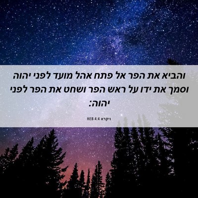 Picture 06 - ויקרא 4:4 HEB - והביא את הפר אל פתח אהל - Bible Verse Picture