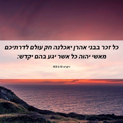 Picture 06 - ויקרא 6:18 HEB - כל זכר בבני אהרן יאכלנה חק - Bible Verse Picture