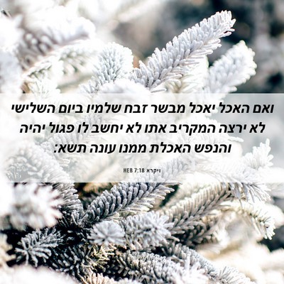Picture 06 - ויקרא 7:18 HEB - ואם האכל יאכל מבשר זבח - Bible Verse Picture