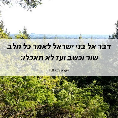 Picture 06 - ויקרא 7:23 HEB - דבר אל בני ישראל לאמר כל - Bible Verse Picture