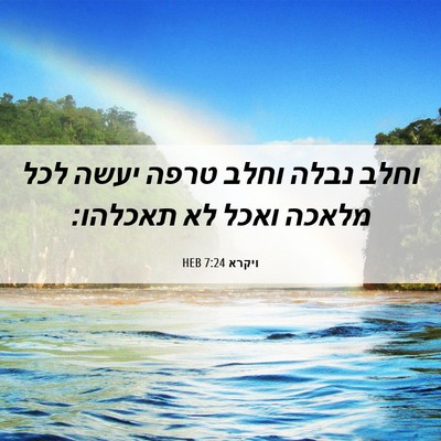 Picture 06 - ויקרא 7:24 HEB - וחלב נבלה וחלב טרפה יעשה - Bible Verse Picture