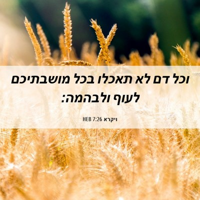 Picture 06 - ויקרא 7:26 HEB - וכל דם לא תאכלו בכל - Bible Verse Picture