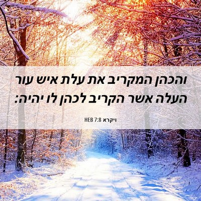 Picture 06 - ויקרא 7:8 HEB - והכהן המקריב את עלת איש עור - Bible Verse Picture