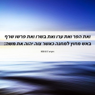 Picture 06 - ויקרא 8:17 HEB - ואת הפר ואת ערו ואת בשרו - Bible Verse Picture