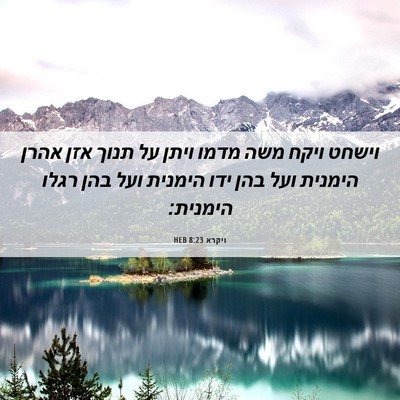 Picture 06 - ויקרא 8:23 HEB - וישחט ויקח משה מדמו ויתן על - Bible Verse Picture