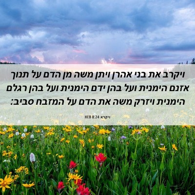 Picture 06 - ויקרא 8:24 HEB - ויקרב את בני אהרן ויתן משה - Bible Verse Picture