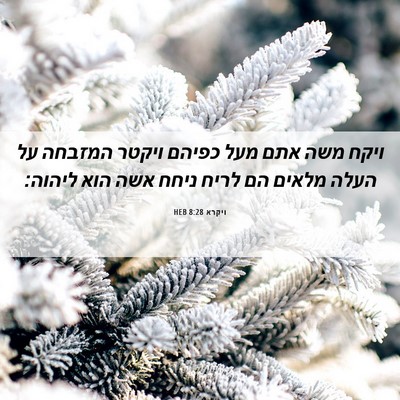 Picture 06 - ויקרא 8:28 HEB - ויקח משה אתם מעל כפיהם - Bible Verse Picture