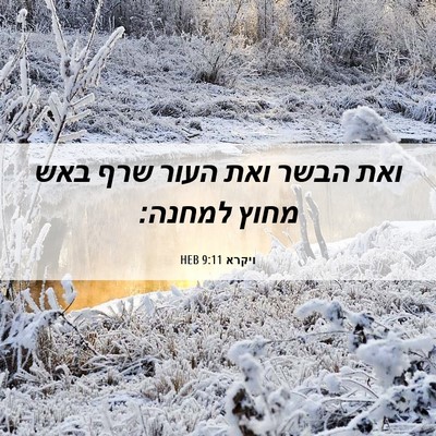 Picture 06 - ויקרא 9:11 HEB - ואת הבשר ואת העור שרף באש - Bible Verse Picture