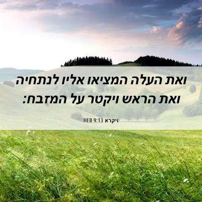 Picture 06 - ויקרא 9:13 HEB - ואת העלה המציאו אליו - Bible Verse Picture