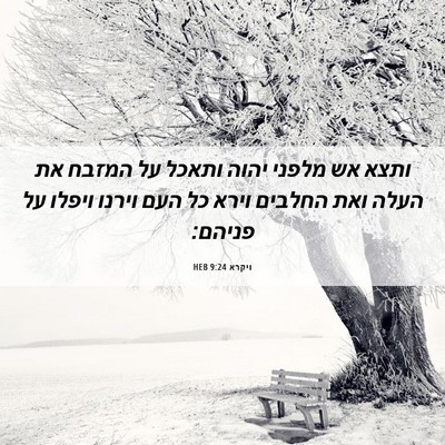 Picture 06 - ויקרא 9:24 HEB - ותצא אש מלפני יהוה ותאכל על - Bible Verse Picture