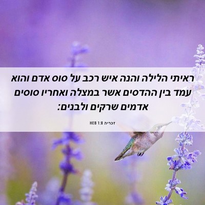 Picture 06 - זכריה 1:8 HEB - ראיתי הלילה והנה איש רכב על - Bible Verse Picture