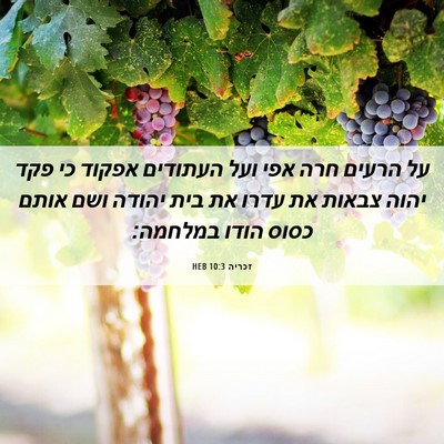 Picture 06 - זכריה 10:3 HEB - על הרעים חרה אפי ועל - Bible Verse Picture
