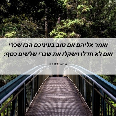 Picture 06 - זכריה 11:12 HEB - ואמר אליהם אם טוב בעיניכם - Bible Verse Picture
