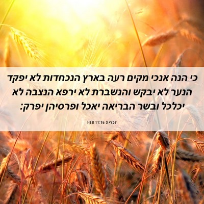 Picture 06 - זכריה 11:16 HEB - כי הנה אנכי מקים רעה בארץ - Bible Verse Picture