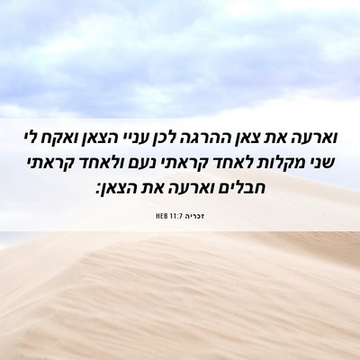 Picture 06 - זכריה 11:7 HEB - וארעה את צאן ההרגה לכן עניי - Bible Verse Picture