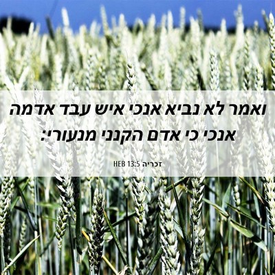 Picture 06 - זכריה 13:5 HEB - ואמר לא נביא אנכי איש עבד - Bible Verse Picture