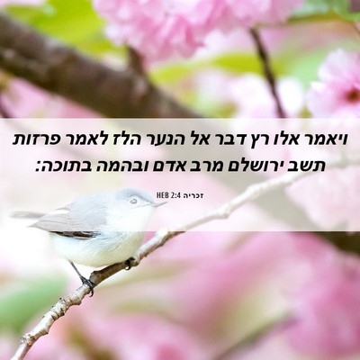Picture 06 - זכריה 2:4 HEB - ויאמר אלו רץ דבר אל הנער - Bible Verse Picture