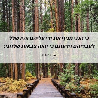 Picture 06 - זכריה 2:9 HEB - כי הנני מניף את ידי עליהם - Bible Verse Picture