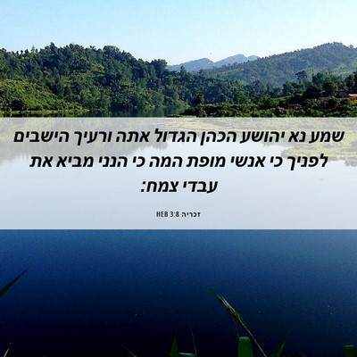 Picture 06 - זכריה 3:8 HEB - שמע נא יהושע הכהן הגדול אתה - Bible Verse Picture