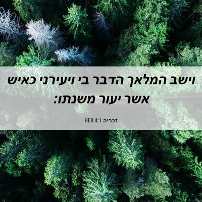 Picture 06 - זכריה 4:1 HEB - וישב המלאך הדבר בי ויעירני - Bible Verse Picture