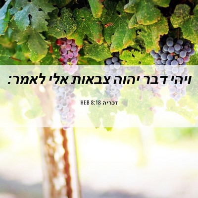 Picture 06 - זכריה 8:18 HEB - ויהי דבר יהוה צבאות אלי - Bible Verse Picture