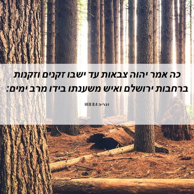 Picture 06 - זכריה 8:4 HEB - כה אמר יהוה צבאות עד ישבו - Bible Verse Picture