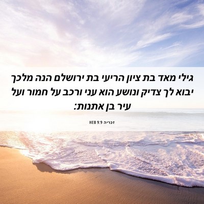 Picture 06 - זכריה 9:9 HEB - גילי מאד בת ציון הריעי בת - Bible Verse Picture