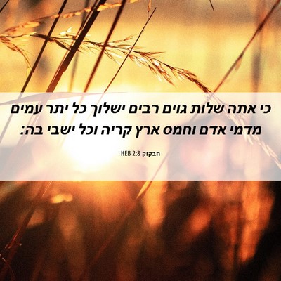 Picture 06 - חבקוק 2:8 HEB - כי אתה שלות גוים רבים ישלוך - Bible Verse Picture