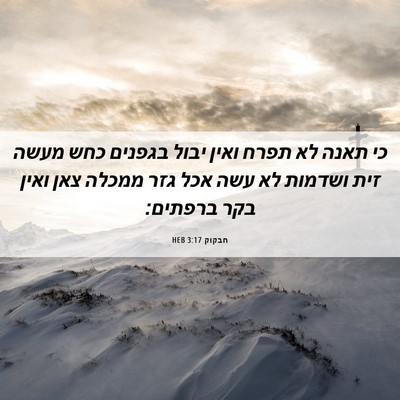 Picture 06 - חבקוק 3:17 HEB - כי תאנה לא תפרח ואין יבול - Bible Verse Picture